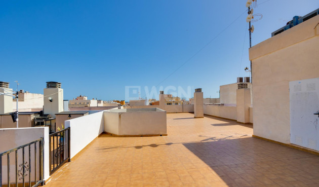 Wiederverkauf - Penthouse - Torrevieja - Centro