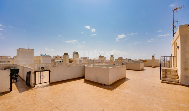 Wiederverkauf - Penthouse - Torrevieja - Centro