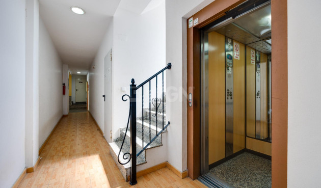 Wiederverkauf - Penthouse - Torrevieja - Centro