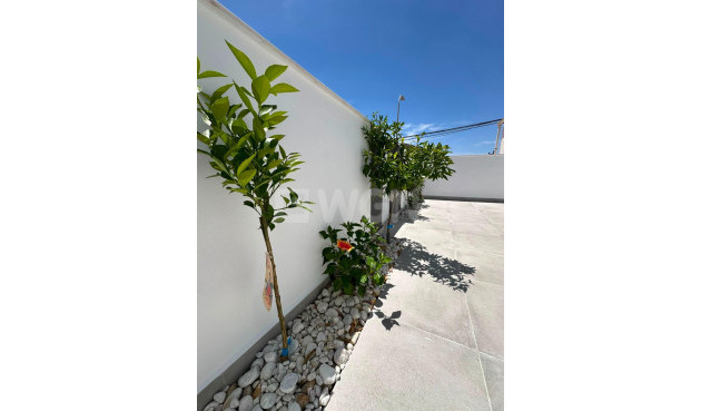 Resale - Bungalow - Torrevieja - La Siesta - El Salado - Torreta