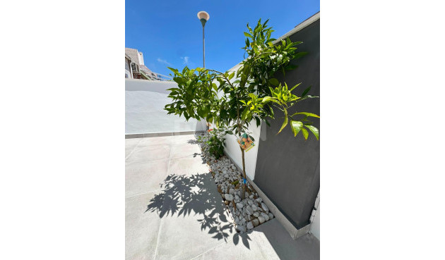 Resale - Bungalow - Torrevieja - La Siesta - El Salado - Torreta