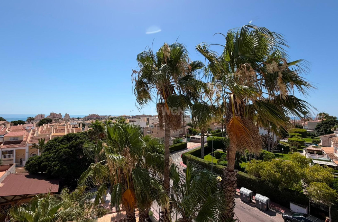 Reventa - Apartamento / piso - Torrevieja - Torreblanca