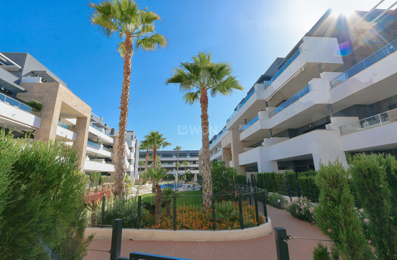 Odsprzedaż - Mieszkanie w bloku - Playa Flamenca - Costa Blanca