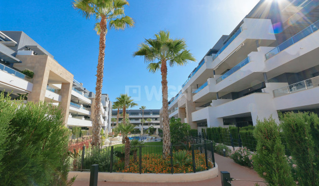 Odsprzedaż - Mieszkanie w bloku - Playa Flamenca - Costa Blanca
