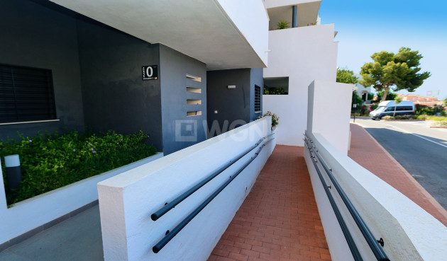 Odsprzedaż - Mieszkanie w bloku - Playa Flamenca - Costa Blanca