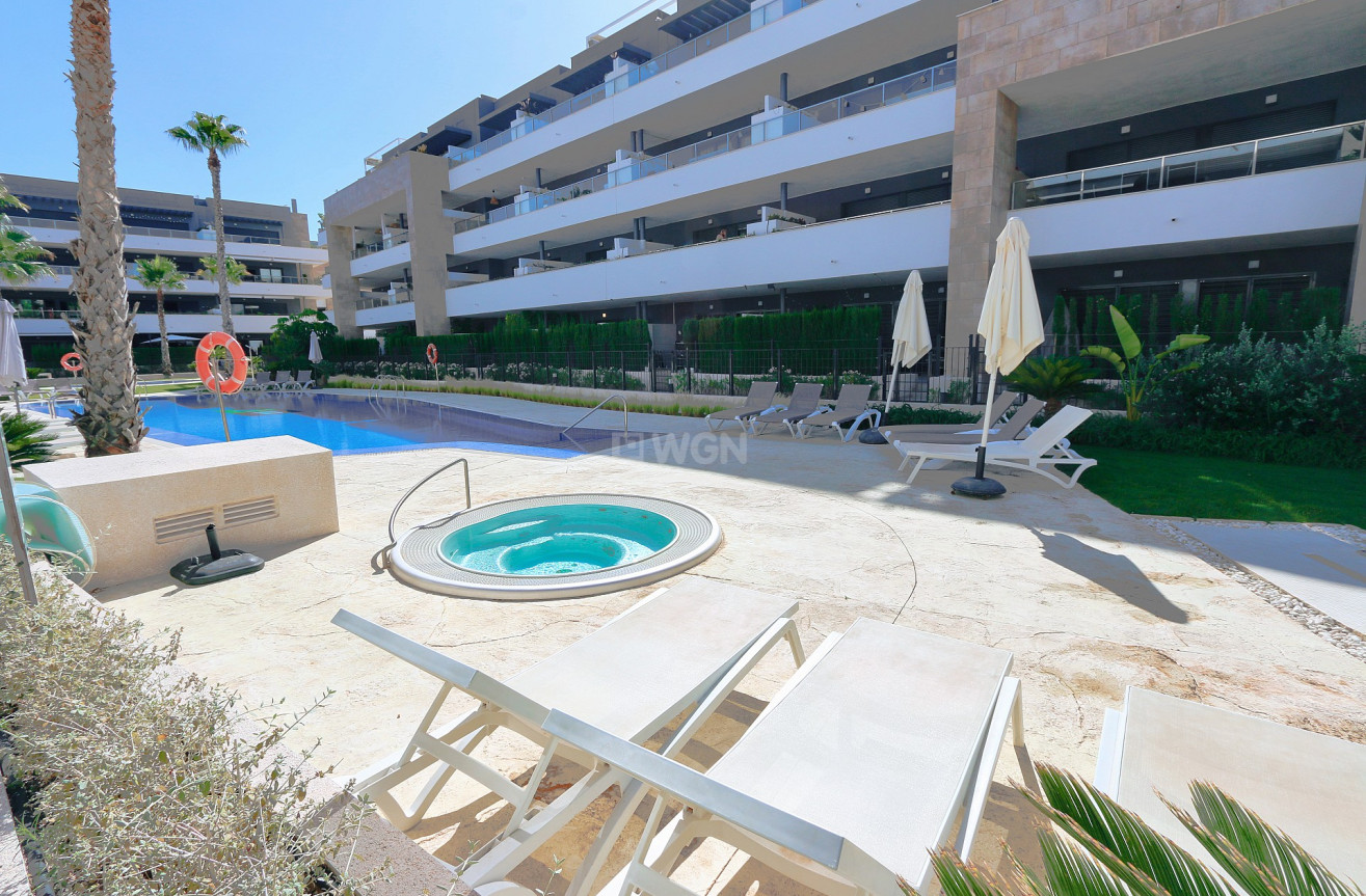 Odsprzedaż - Mieszkanie w bloku - Playa Flamenca - Costa Blanca