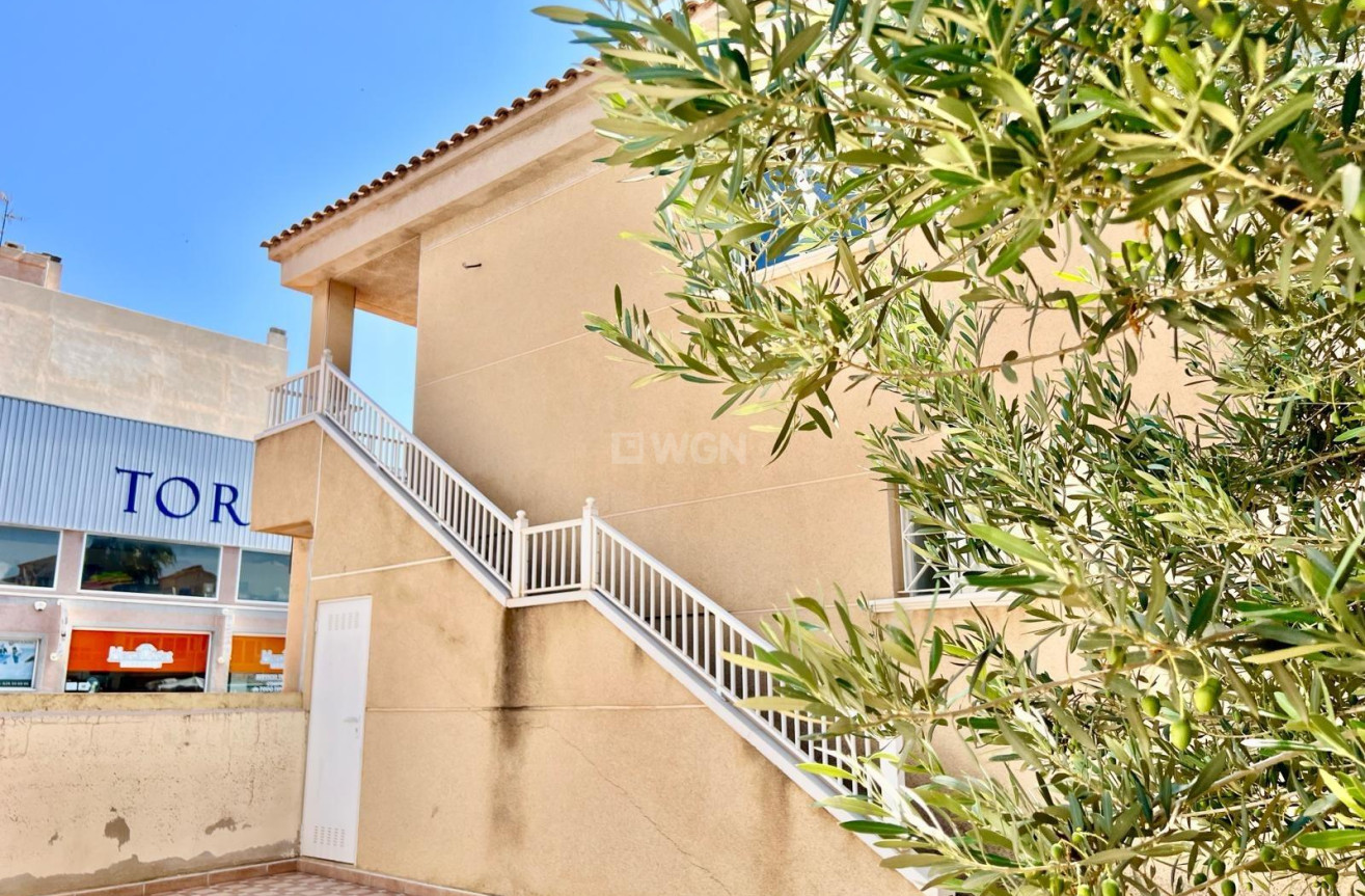 Wiederverkauf - Bungalow - Torrevieja - Centro