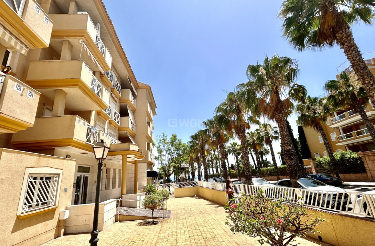 Wiederverkauf - Wohnung - Cabo Roig - Costa Blanca
