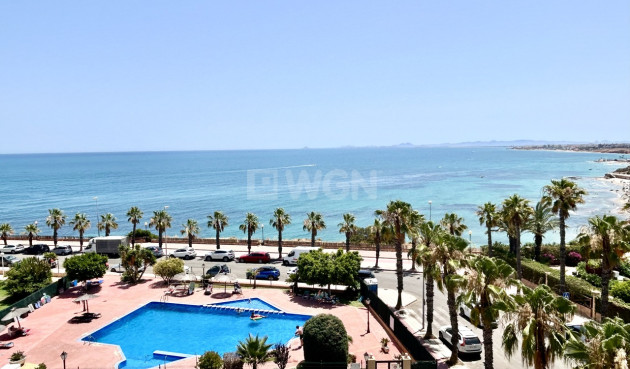 Wiederverkauf - Wohnung - Cabo Roig - Costa Blanca
