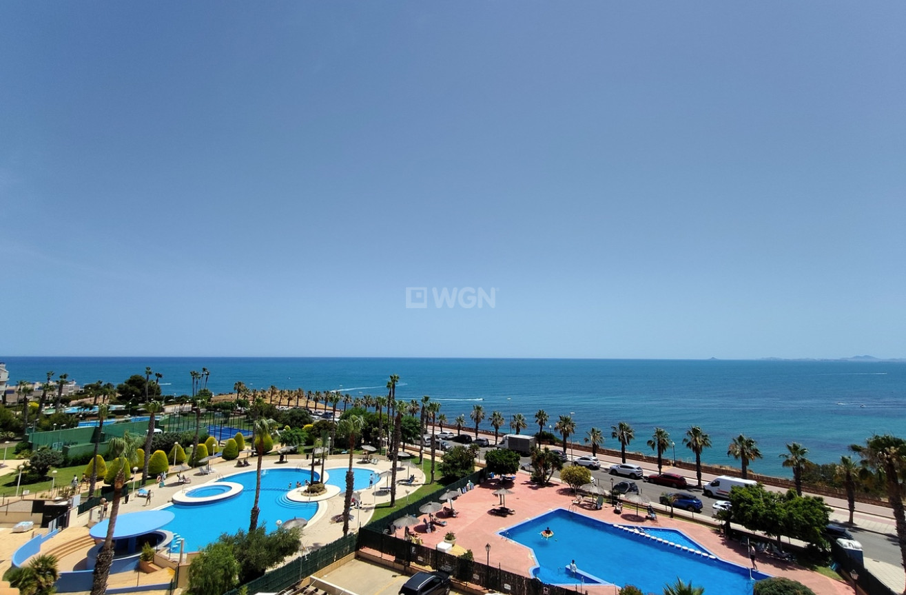 Wiederverkauf - Wohnung - Cabo Roig - Costa Blanca