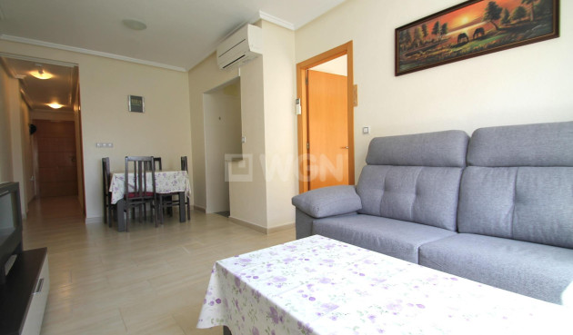 Reventa - Apartamento / piso - Torrevieja - El Molino