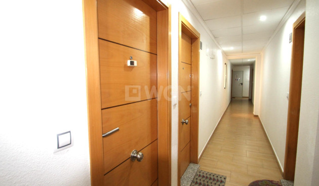 Reventa - Apartamento / piso - Torrevieja - El Molino
