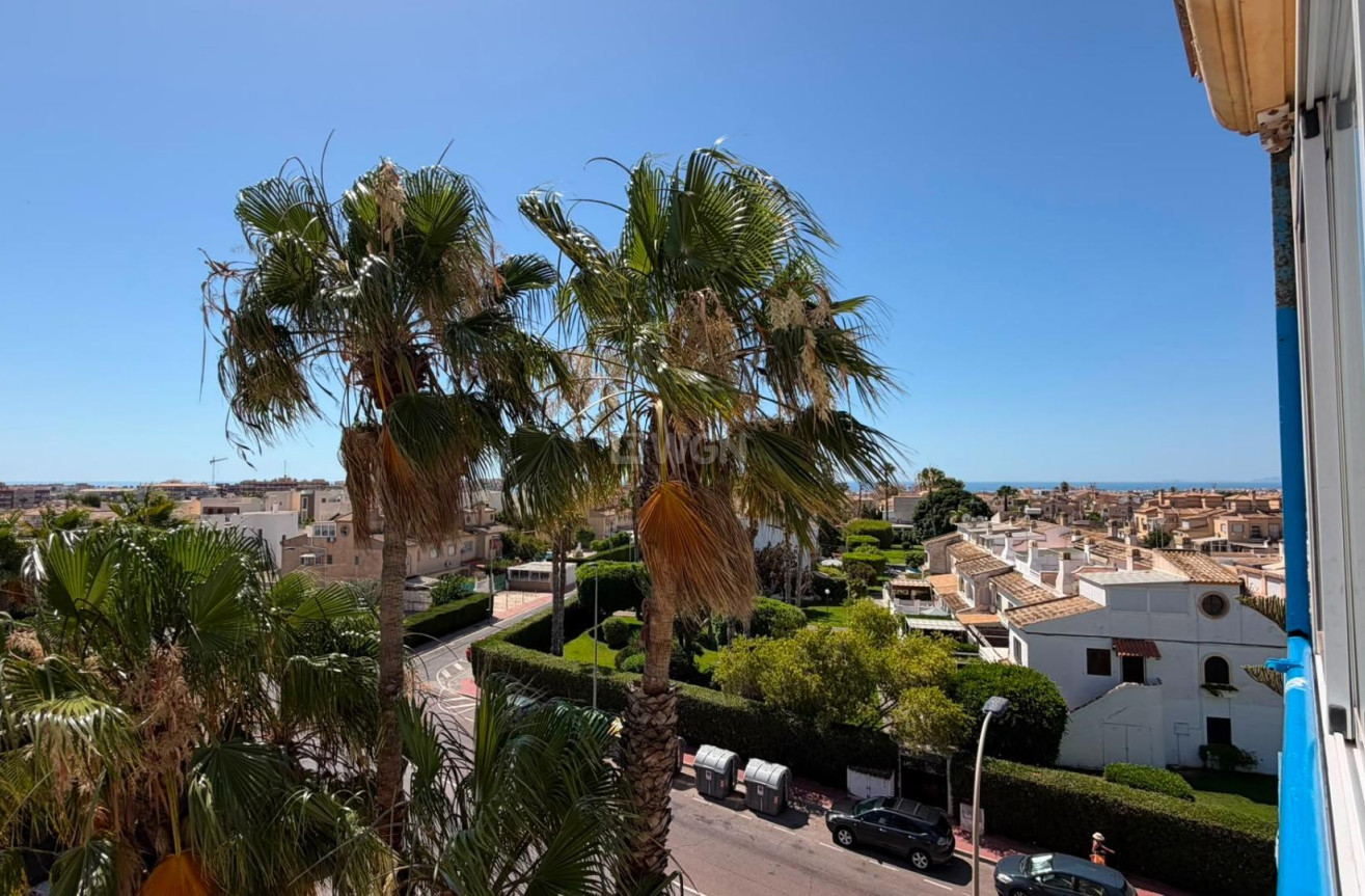 Wiederverkauf - Wohnung - Torrevieja - Torreblanca