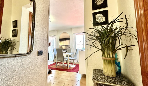 Odsprzedaż - Mieszkanie w bloku - Torrevieja - Costa Blanca
