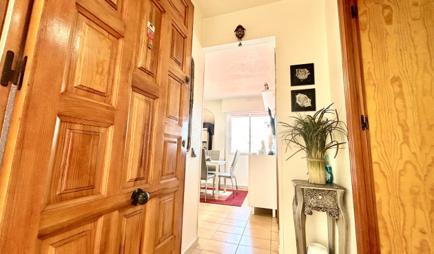 Odsprzedaż - Mieszkanie w bloku - Torrevieja - Costa Blanca