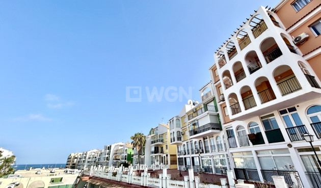 Odsprzedaż - Mieszkanie w bloku - Torrevieja - Costa Blanca