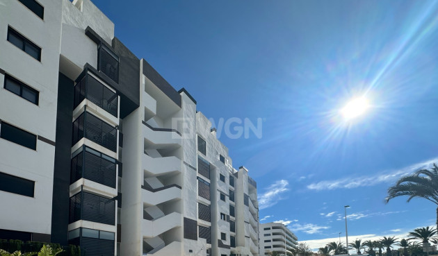 Odsprzedaż - Mieszkanie w bloku - Santa Pola - Costa Blanca