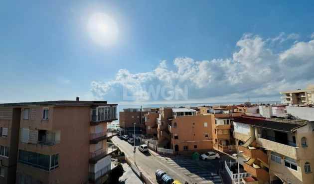 Odsprzedaż - Mieszkanie w bloku - La Mata - Costa Blanca