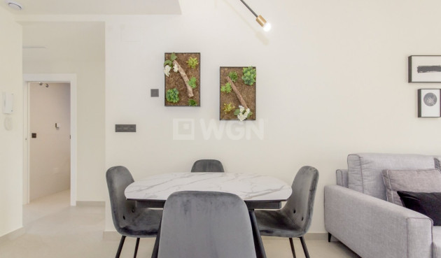 Nowy budynek - Bungalow - Torrevieja - Los Balcones