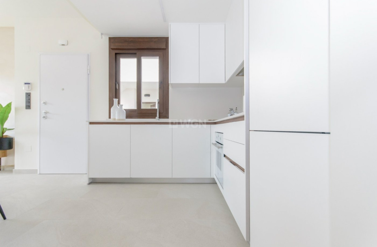 Nowy budynek - Bungalow - Torrevieja - Los Balcones