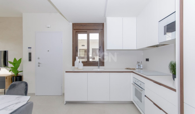 Nowy budynek - Bungalow - Torrevieja - Los Balcones