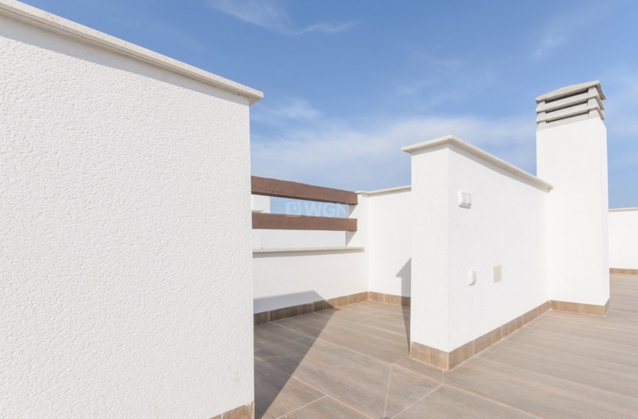 Nowy budynek - Bungalow - Torrevieja - Los Balcones