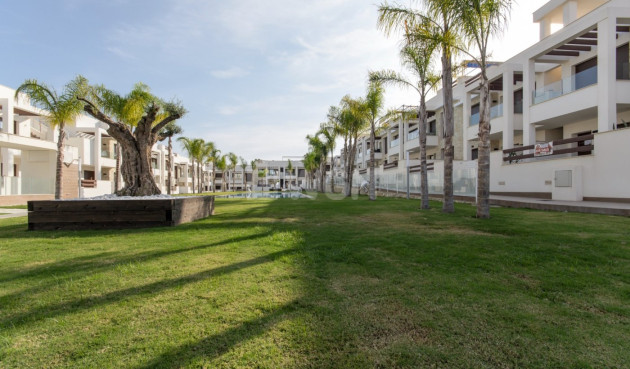 Nowy budynek - Bungalow - Torrevieja - Los Balcones