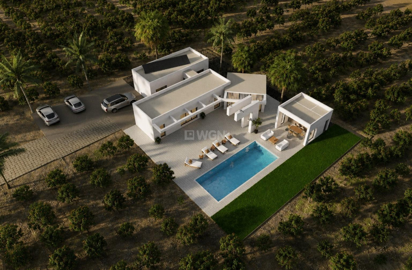 Nowy budynek - Villa - Benejúzar - alta
