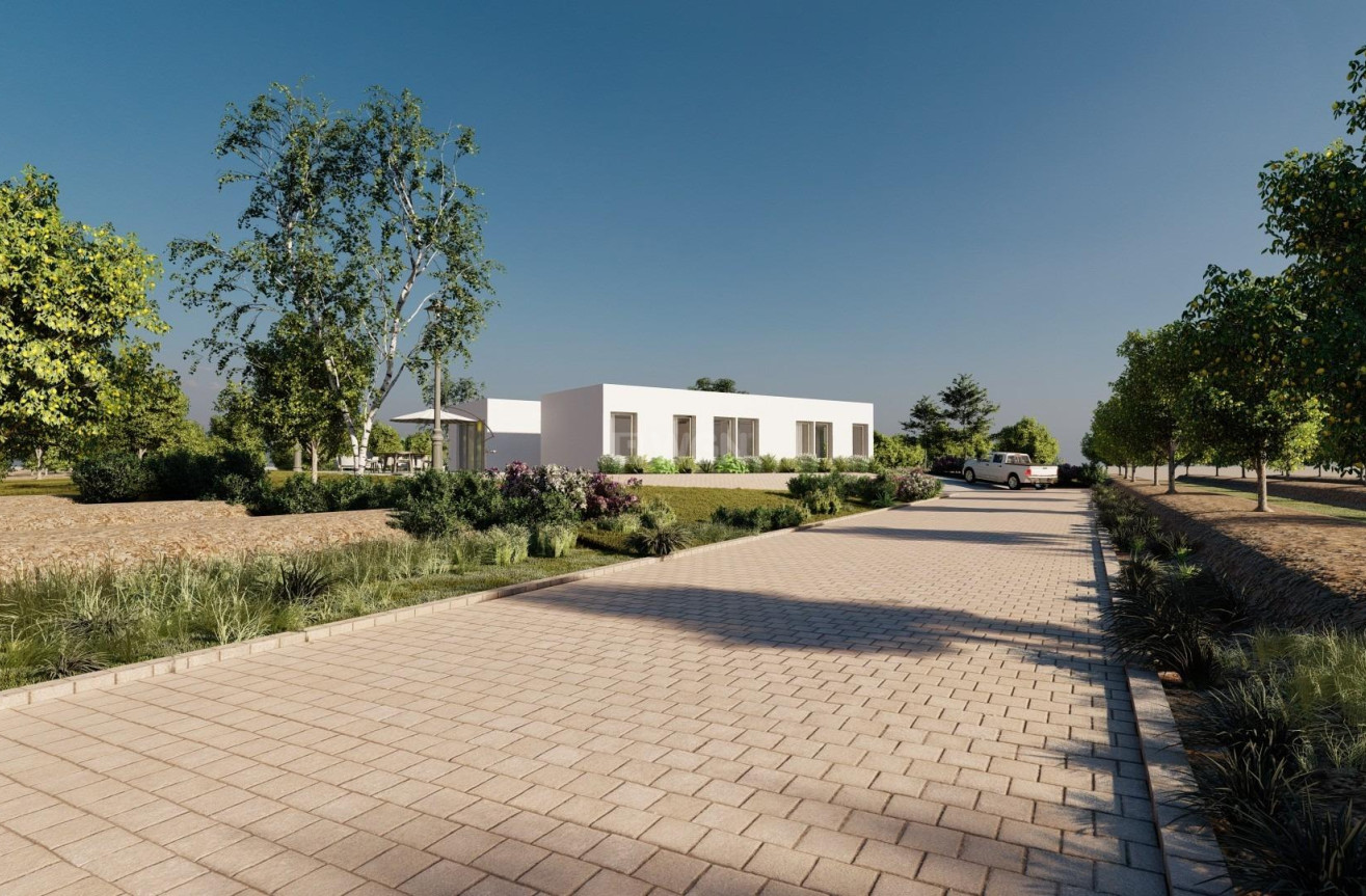 Nowy budynek - Villa - Benejúzar - alta