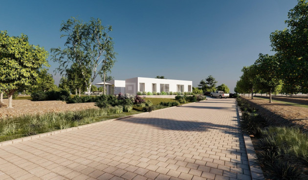 Nowy budynek - Villa - Benejúzar - alta