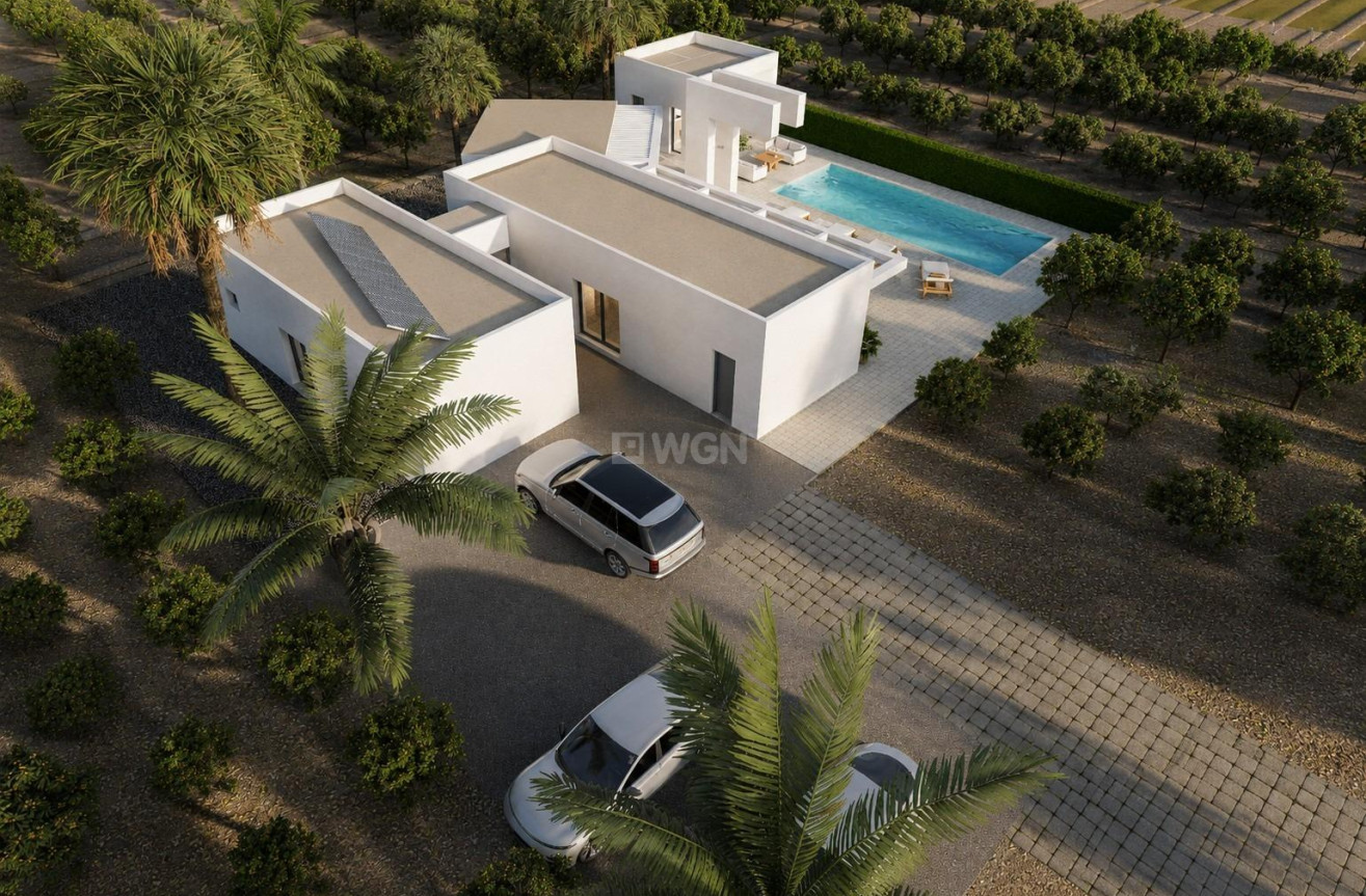 Nowy budynek - Villa - Benejúzar - alta