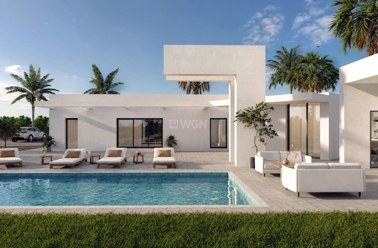 Nowy budynek - Villa - Benejúzar - alta