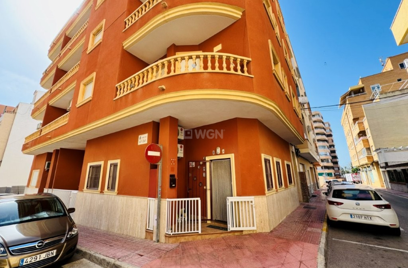 Odsprzedaż - Mieszkanie w bloku - La Mata - Costa Blanca