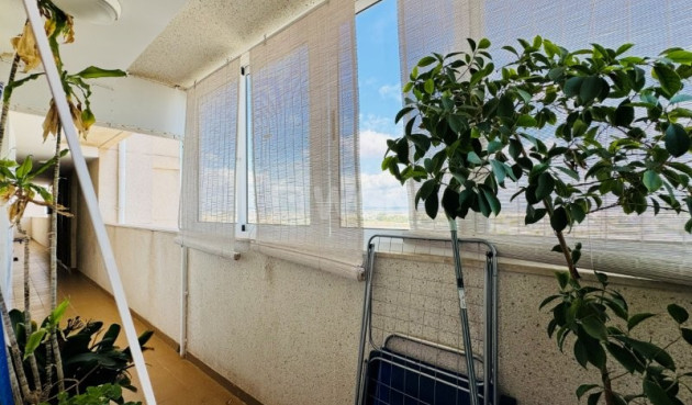 Odsprzedaż - Mieszkanie w bloku - Torrevieja - Costa Blanca