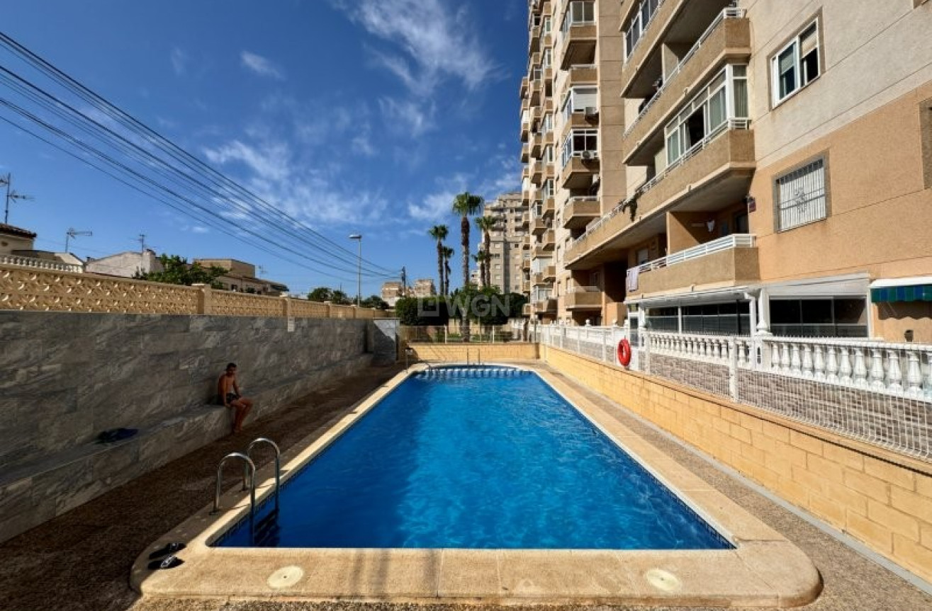 Odsprzedaż - Mieszkanie w bloku - Torrevieja - Costa Blanca