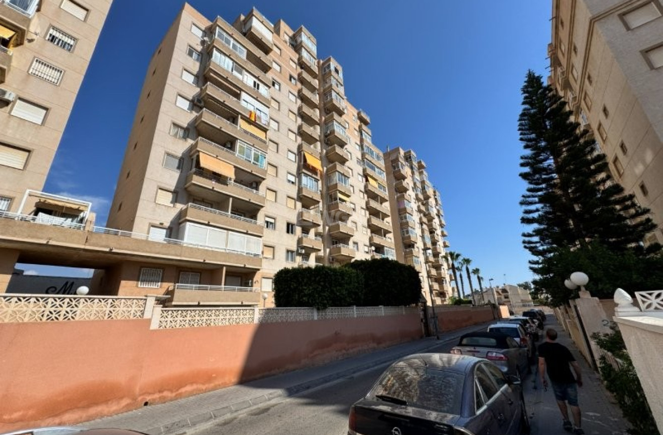 Odsprzedaż - Mieszkanie w bloku - Torrevieja - Costa Blanca