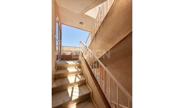 Odsprzedaż - Bungalow - Torrevieja - Costa Blanca