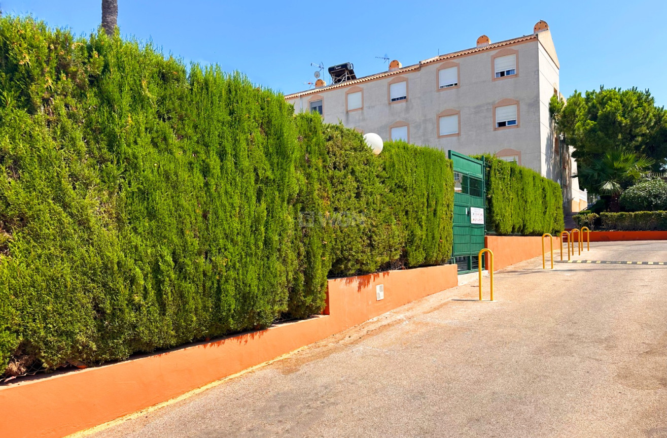 Odsprzedaż - Bungalow - Torrevieja - Costa Blanca
