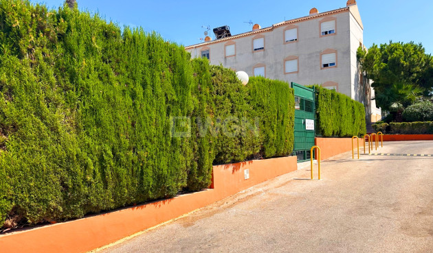Odsprzedaż - Bungalow - Torrevieja - Costa Blanca
