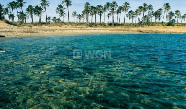 Odsprzedaż - Bungalow - Torrevieja - Costa Blanca