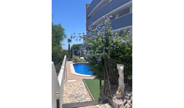 Odsprzedaż - Mieszkanie w bloku - Villamartin - Costa Blanca