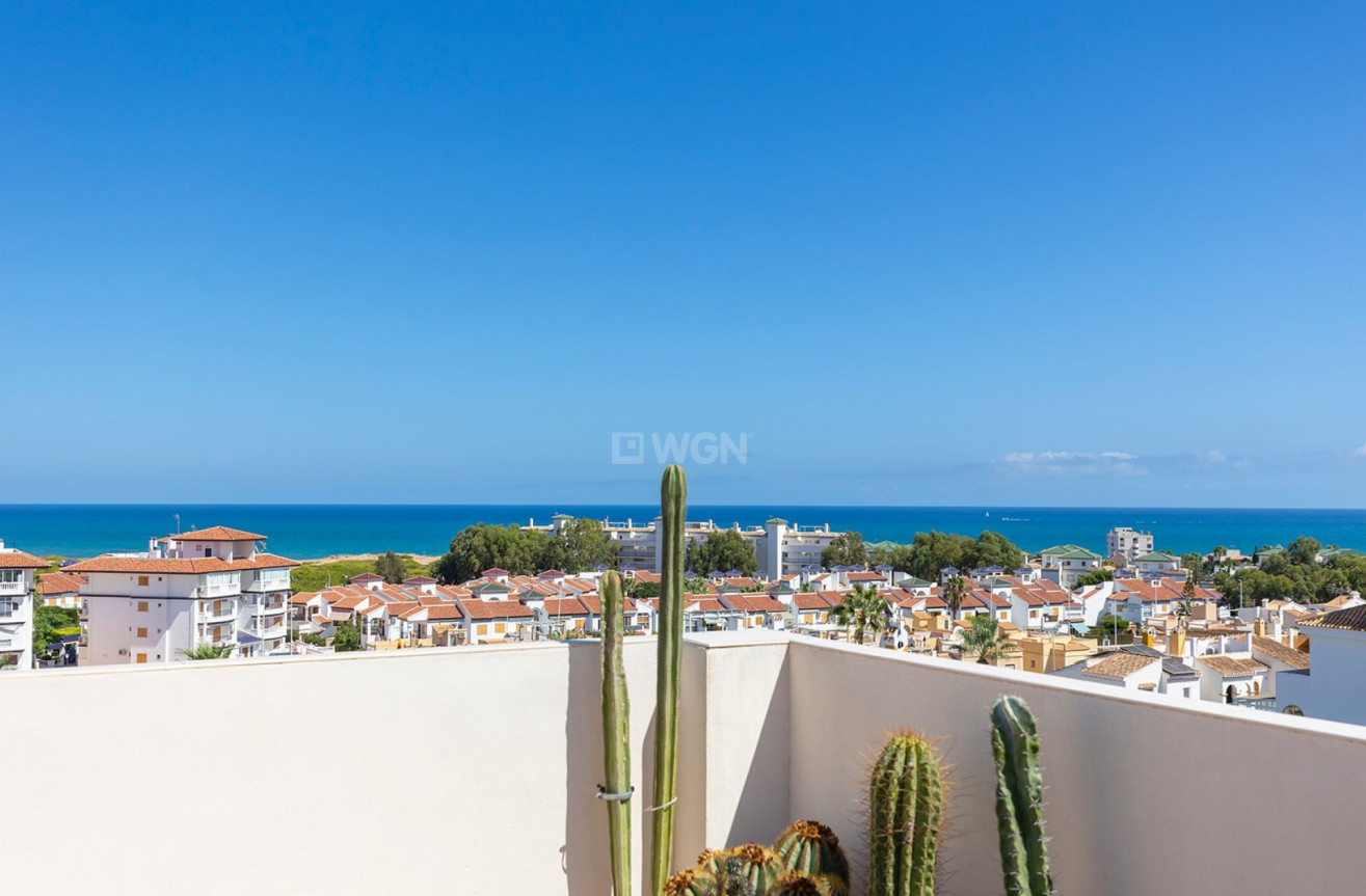 Odsprzedaż - Mieszkanie w bloku - La Mata - Costa Blanca