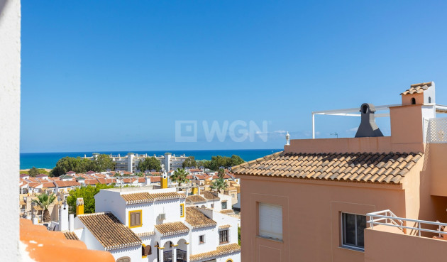 Odsprzedaż - Mieszkanie w bloku - La Mata - Costa Blanca