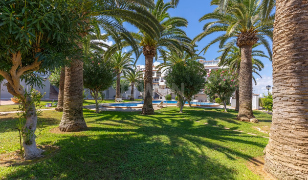 Odsprzedaż - Mieszkanie w bloku - La Mata - Costa Blanca