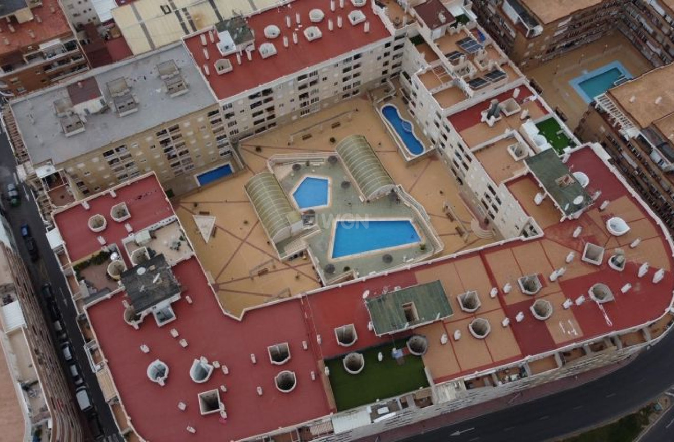 Odsprzedaż - Mieszkanie w bloku - Torrevieja - Costa Blanca