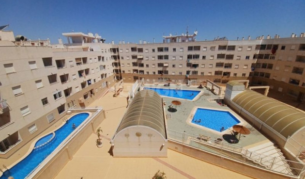 Odsprzedaż - Mieszkanie w bloku - Torrevieja - Costa Blanca