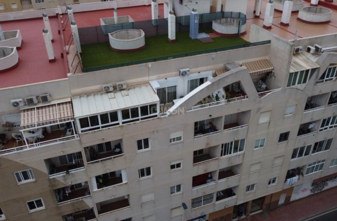 Odsprzedaż - Mieszkanie w bloku - Torrevieja - Costa Blanca