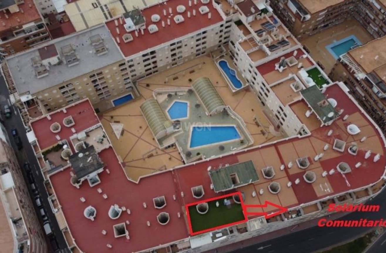 Odsprzedaż - Mieszkanie w bloku - Torrevieja - Costa Blanca