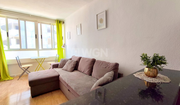 Odsprzedaż - Mieszkanie w bloku - Torrevieja - Costa Blanca