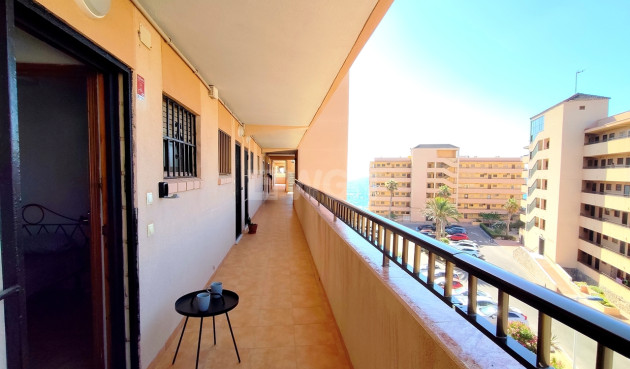 Odsprzedaż - Mieszkanie w bloku - Torrevieja - Costa Blanca